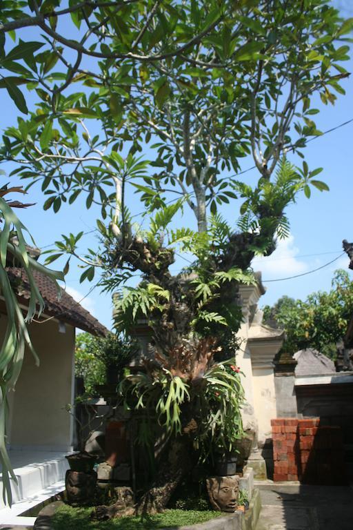 Nugraha Guesthouse 1 Ubud  Luaran gambar